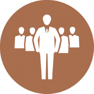 Management Team